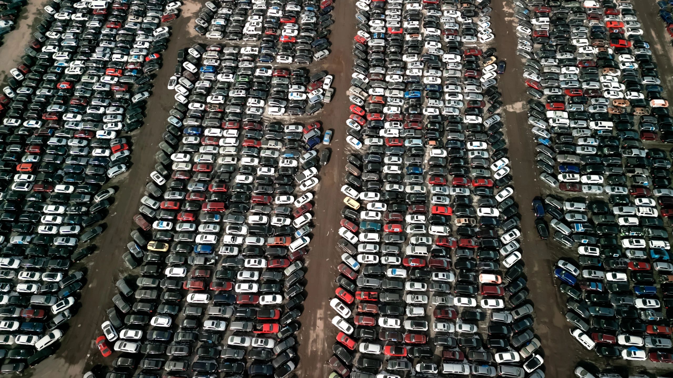 Used cars at a dealership lot