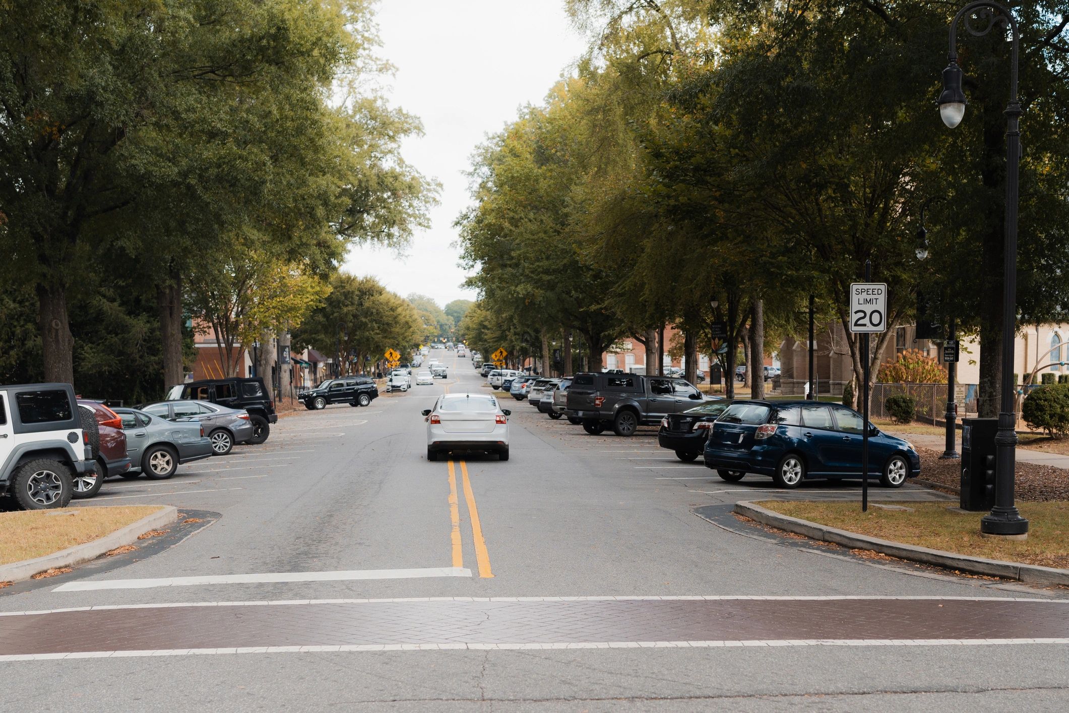 Car on a tree-lined local street